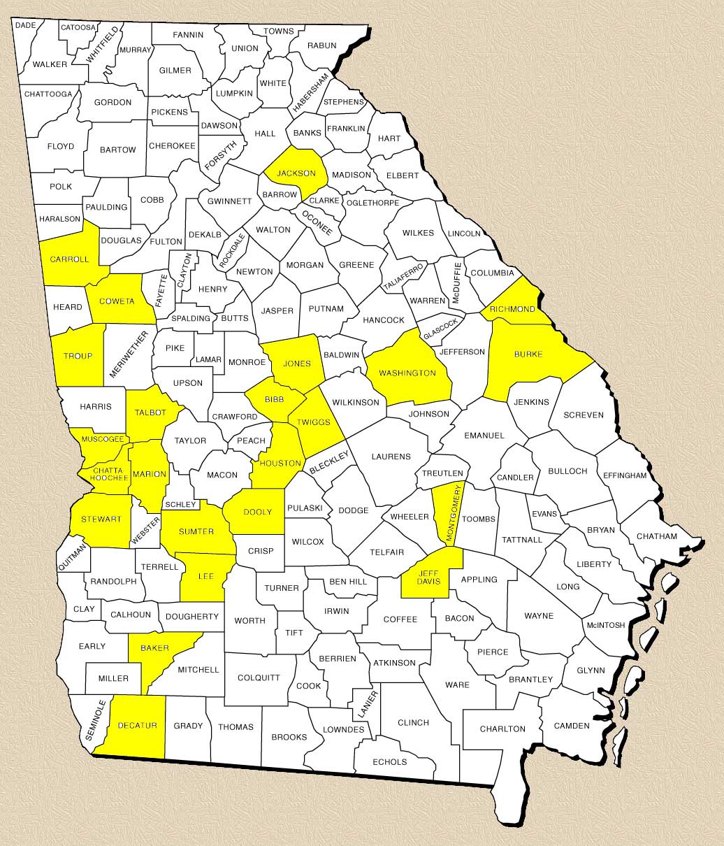 Ga Counties